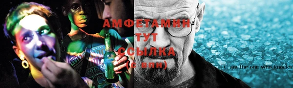 мдпв Инсар