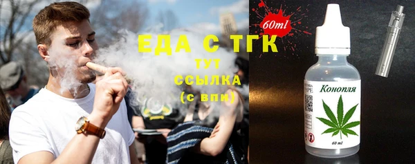 мдпв Инсар
