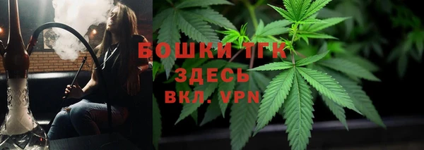 мдпв Инсар