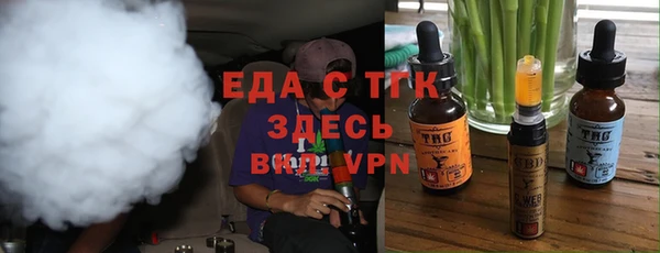 мдпв Инсар