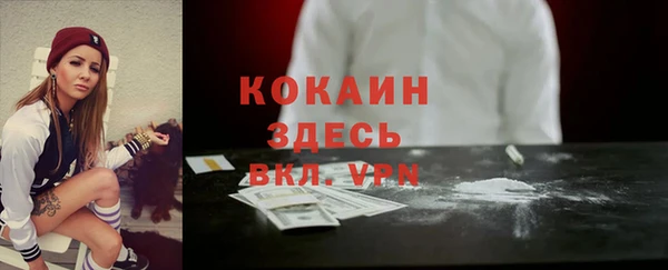 мдпв Инсар
