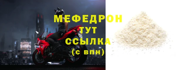 мдпв Инсар