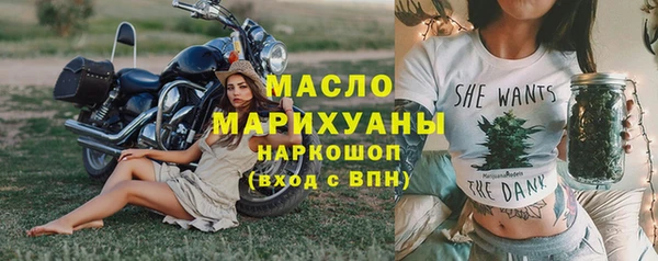 мдпв Инсар