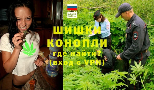мдпв Инсар