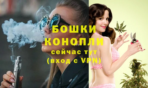 мдпв Инсар