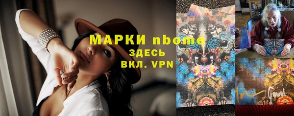 мдпв Инсар