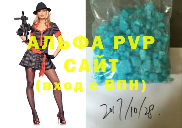 мдпв Инсар