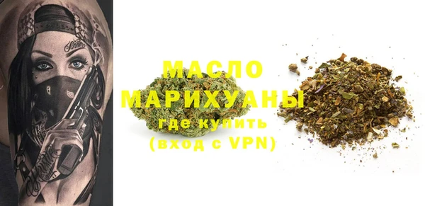 мдпв Инсар